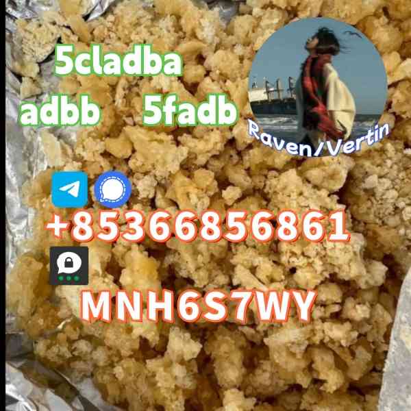 5cladba precursor adbb powder 5fadb raw material supply